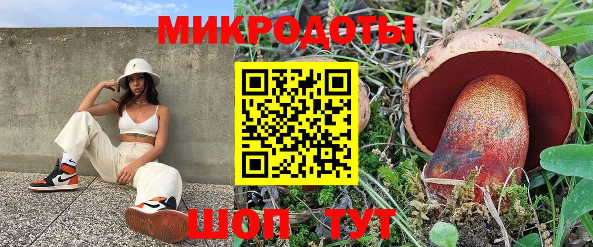 Псилоцибиновые грибы мухоморы Комсомольск-на-Амуре